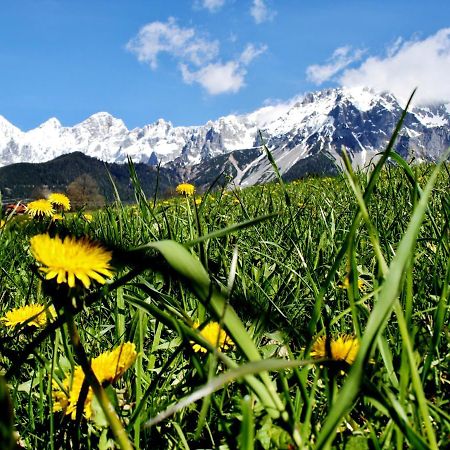 Bed and Breakfast Haus Friedeck Ramsau am Dachstein Zewnętrze zdjęcie