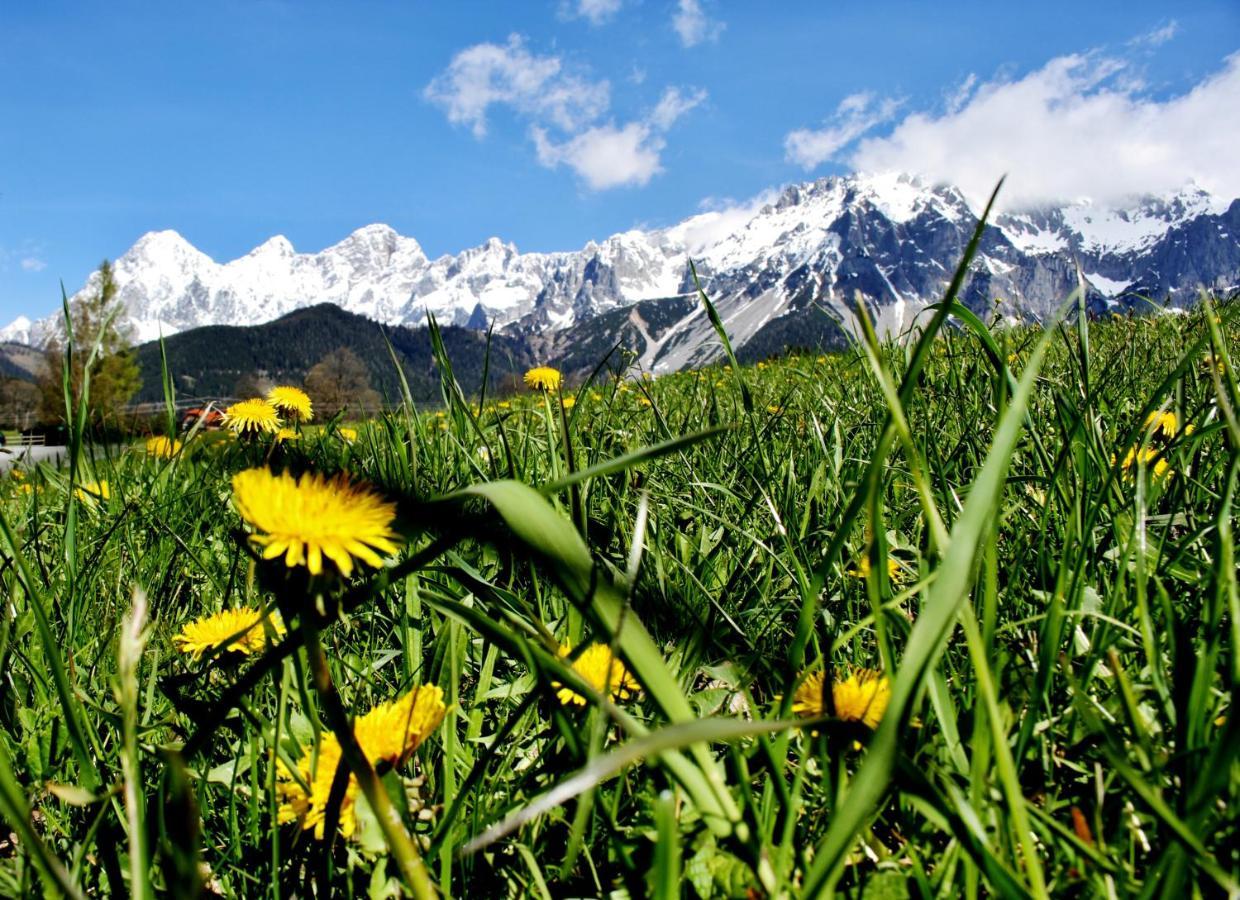 Bed and Breakfast Haus Friedeck Ramsau am Dachstein Zewnętrze zdjęcie