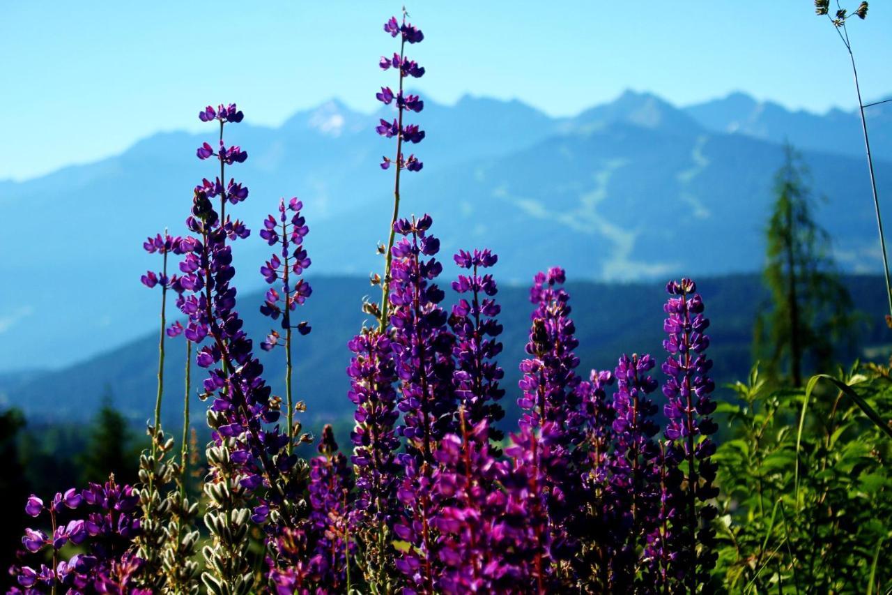 Bed and Breakfast Haus Friedeck Ramsau am Dachstein Zewnętrze zdjęcie